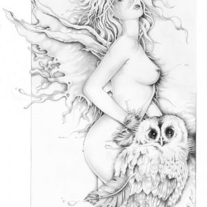 LITH02 Wings of Night 50x70 cm