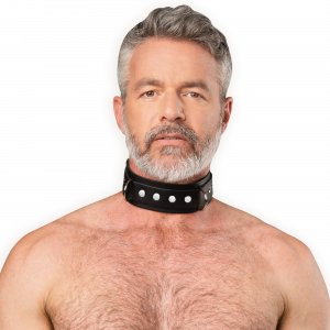 8228 Leather Collar with Double D-Ring