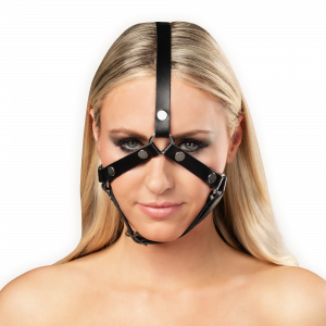 8237 Leather Head Harness with Studs